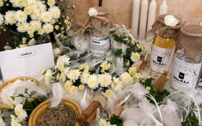 Instrucciones limpieza energética del hogar